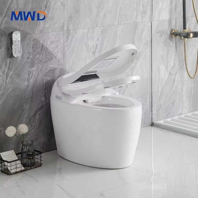 S&S Watches & Jewelry Ho Chi Minh - Airow MWD Modern WC Smart Toilet